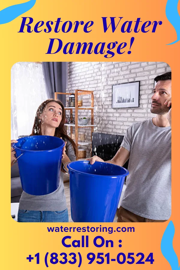 water restoration Horizon Water Works Brothers Henderson